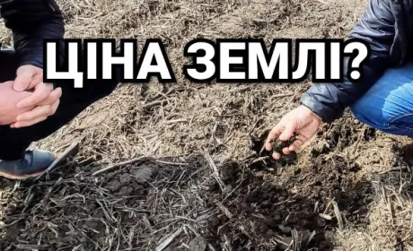 Топ-менеджер агрохолдингу спрогнозував ціни на землю