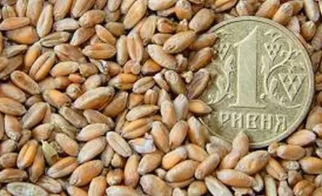 Ціни на пшеницю в українських портах продовжують знижуватись