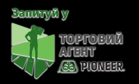 Все більше українських фермерів віддають перевагу прямій моделі продажів