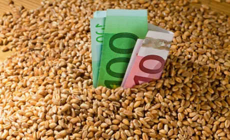 Україна в 2018/19 МР експортувала 49.7 млн тон зерна