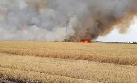 Не своє, не шкода: окупанти в ВРДО підпалюють трасерами поля з пшеницею