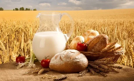 Производство почти всех основных видов агропродукции в 2017 году было прибыльным - Институт аграрной экономики