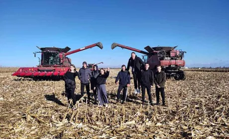 В Cygnet Agrocompany закінчили збирати врожай