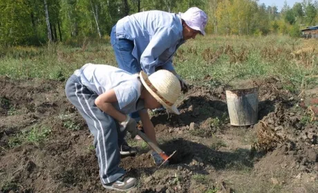 Дачників хочуть обкласти податками: за які ділянки доведеться заплатити