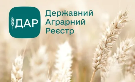 Через ДАР з 1 вересня можна буде подати заявку на дві програми держпідтримки