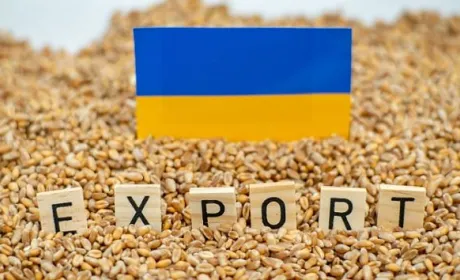 В ДАРі почали приймати заявки для верифікації експортерів агропродукції
