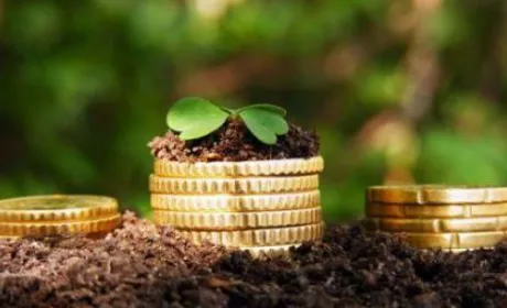 В Україні програма кредитної підтримки аграріям продовжується на 2019 рік – заступник міністра
