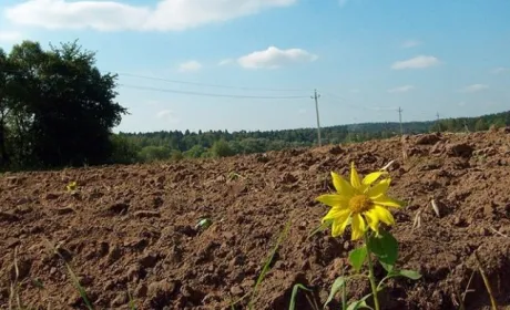 Державна підтримка фермерам невигідна
