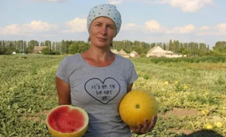 На Херсонщині фермери почали вирощувати нові сорти динь