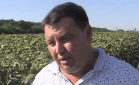 Аграрний тиск силовиків: на Донеччині прибуткове с/г підприємство опинилося під загрозою банкрутства