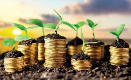 Ринок землі: держава бере такі податки, що продавати паї не вигідно
