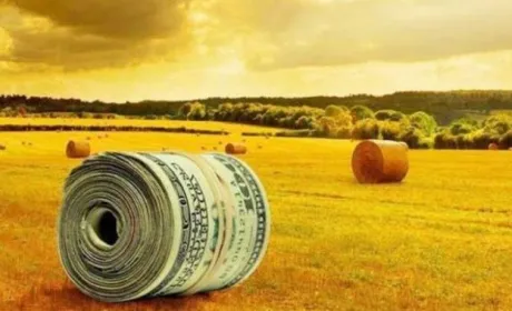 Щоб отримати допомогу в жовтні, потрібно подати заявку у вересні