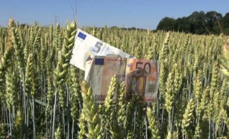 Нідерланди виділили 50 млн євро на розмінування та допомогу українським фермерам