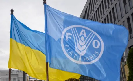 Фермери Миколаївщини отримають генератори та насіння від ФАО