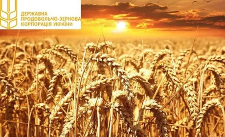 Правоохоронці викрили чиновника ДПЗКУ в нестачі майже 1,5 млн грн