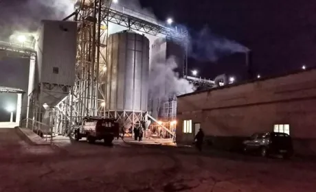 Вогонь на Полтавщині «злизав» 60 тонн насіння соняшнику