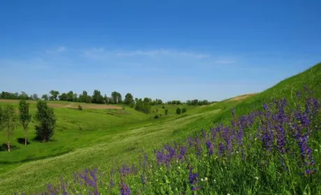 На Київщині захистили від розорювання цінний природний комплекс