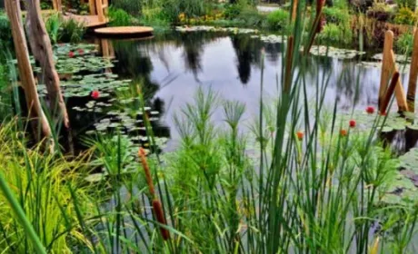 Українські школярі створили робот для очищення води у водоймах