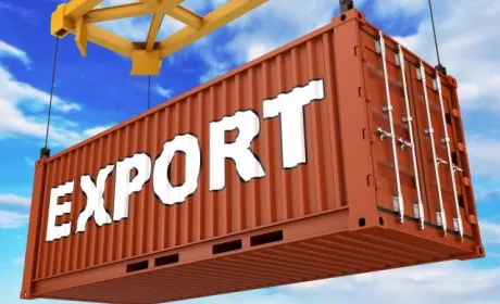 Податківцями виявлено експортну схему тіньової агропродукції на 0,5 млрд грн