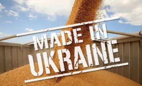 2020 року Україна втретє поспіль оновила історичний рекорд аграрного експорту, — ННЦ