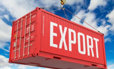 Україна наростила експорт продукції тваринництва
