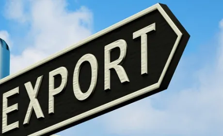 Україна знизила експорт до ЄС сировини, але збільшила вивіз продукції переробки