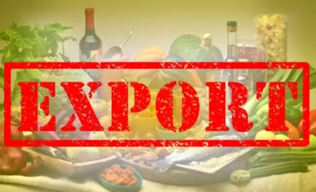 За минулий рік Україна експортувала понад 50 млн тонн агропродукції