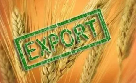 За червень Україна експортувала 5,3 млн т агропродукції
