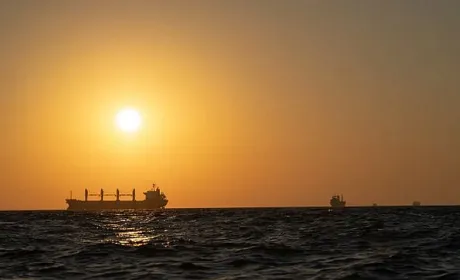 Без росії експорт Чорним морем працює ефективніше, – речник ВМС