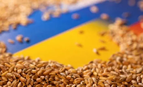 Угорщина допоможе відправити українське зерно до Африки