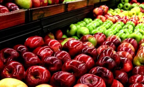 У минулому сезоні Україна експортувала рекордну кількість яблук