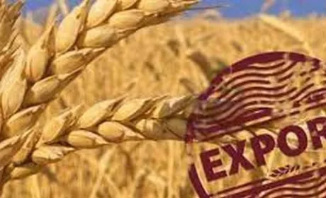 Експорт зерна перевищив 30 млн тонн