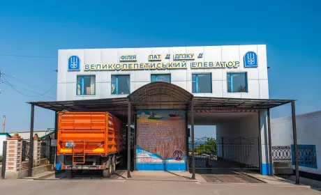 90% прибутку Великолепетиському елеватору забезпечує обробка землі