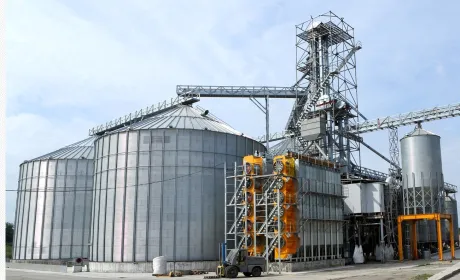 З аукціону продається великий елеватор на Кіровоградщині