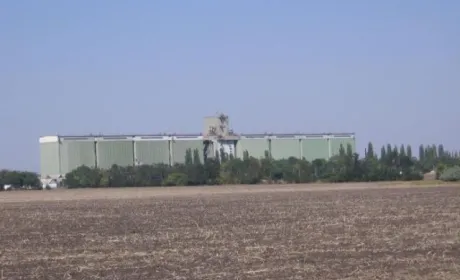 У Миколаївській області чиновники Держрезерву накрали зерна майже на 900 тисяч гривень