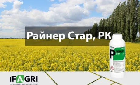 Компанія «Ерідон» презентує на українському ринку новий інсектицид Райнер Стар від IFAGRI