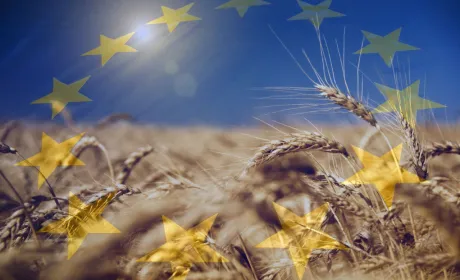 Успішний вихід на ринки ЄС українських експортерів можливий за орієнтування на стандарти Німеччини