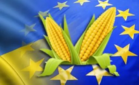 2019 року взаємна торгівля агропродукцією між Україною та ЄС сягнула рекордних $10,6 млрд