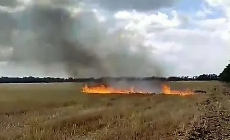 На Миколаївщині впіймали «на гарячому» фермера-палія