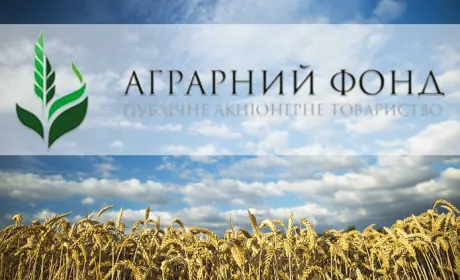 "Аграрний фонд" придумав, як залучити кошти з фінсектора
