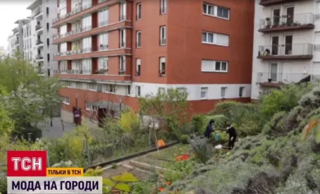 Парижани стоять роками в чергах, щоб обробляти міські городи і платять за це внески