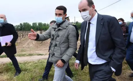 Франція виділить мільярд євро на допомогу аграріям після заморозків