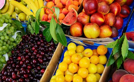 Країни ЄС збільшили імпорт фруктів на 6.5%