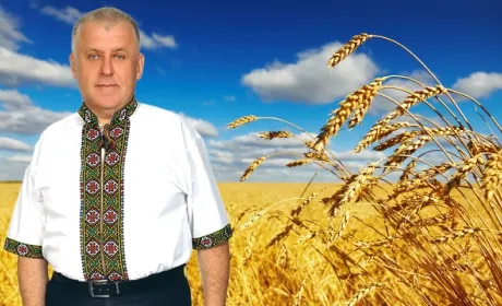 Без хліба не залишимося! У Бучачагрохлібпром завершили жнива