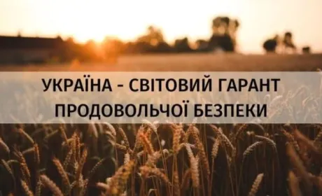 До України як гаранта продовольчої безпеки мають застосовуватися міжнародні норми безпеки, — Тарас Висоцький