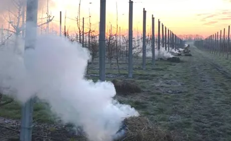Поблизу Умані четверту добу рятують черешневий сад від заморозків