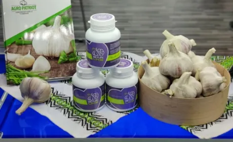 Новий український часниковий продукт презентували в Дубаї