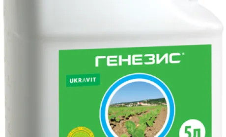 Генезис сучасного захисту соняшника