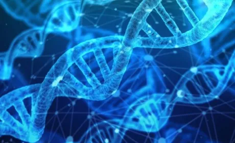 Велика Британія розглядає можливість дозволу генетичного редагування
