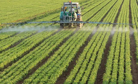 Syngenta і DuPont отримають спільний патент на новий гербіцид